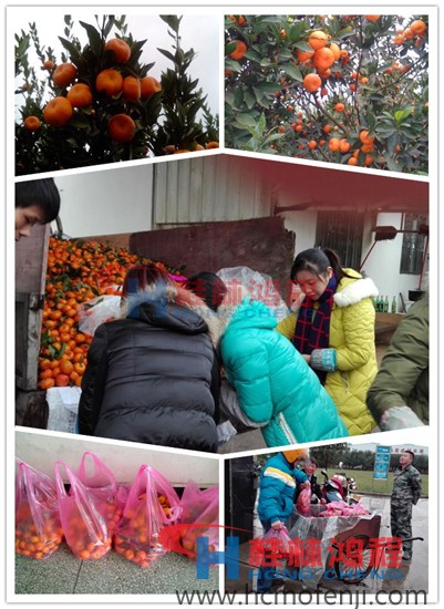 南豐蜜桔滯銷現(xiàn)象嚴(yán)重 桂林鴻程收購 南豐蜜桔 南豐蜜桔滯銷現(xiàn)象嚴(yán)重 桂林鴻程收購 南豐蜜桔